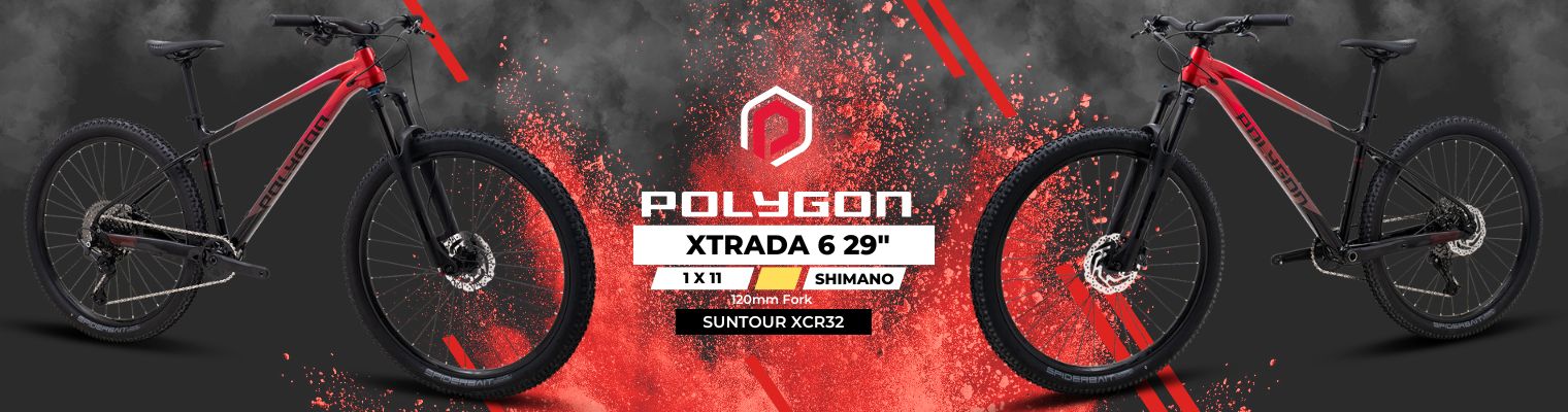 Polygon XTRADA 6 29