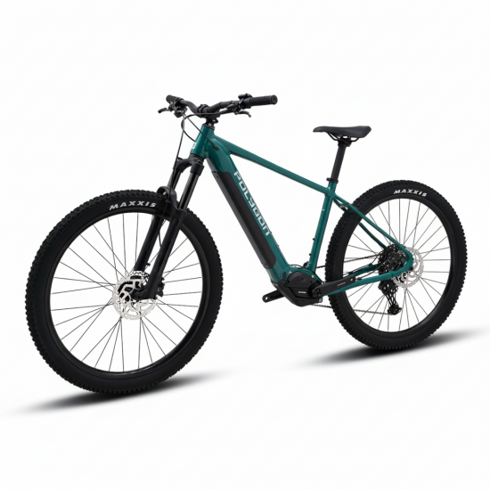 Polygon TENSOR E 29"