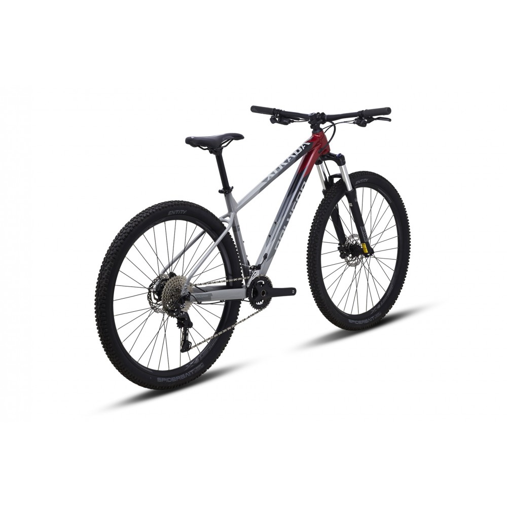 Polygon XTRADA 5 29